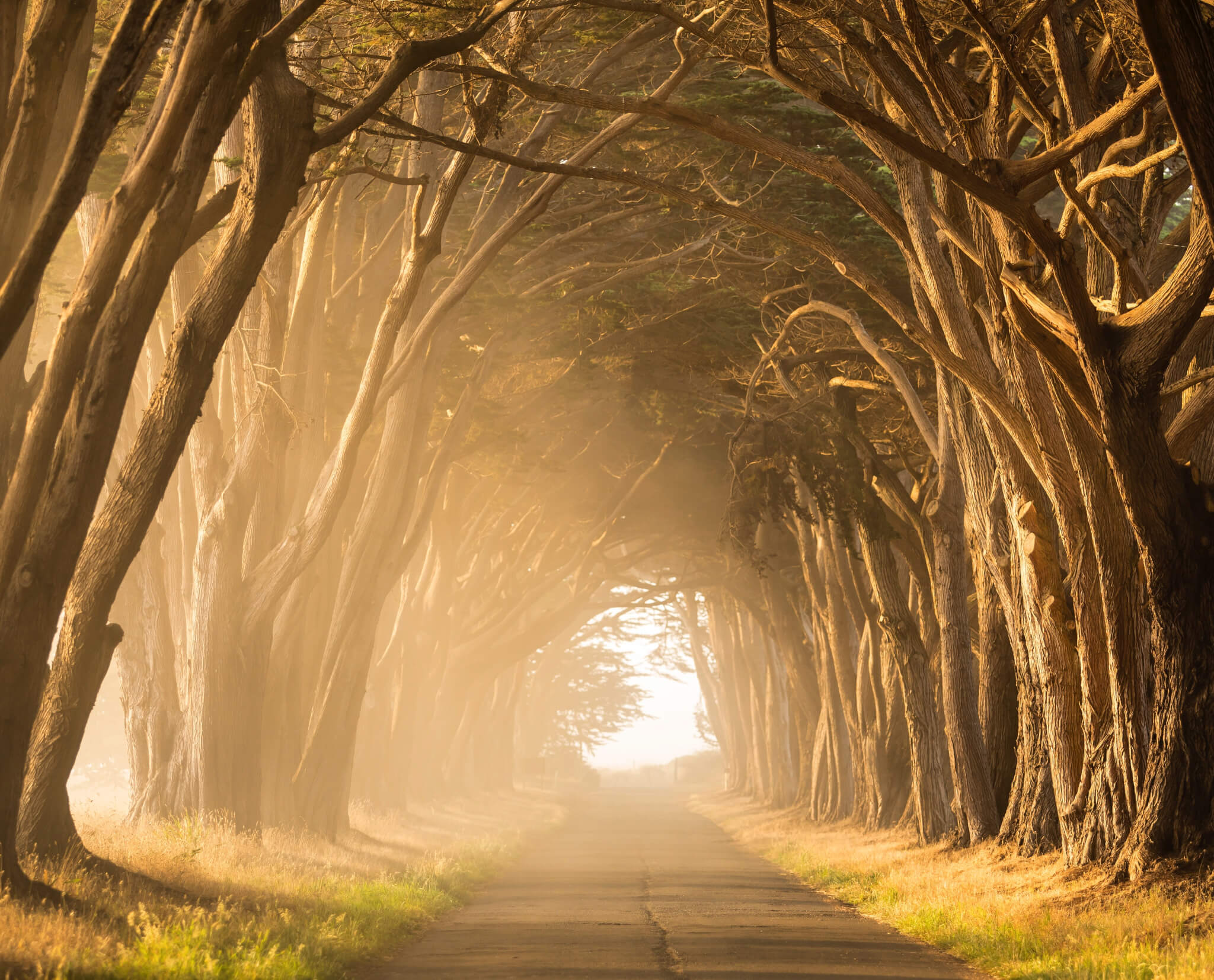 stephen-leonardi-369733-unsplash stephen-leonardi-369733-unsplash