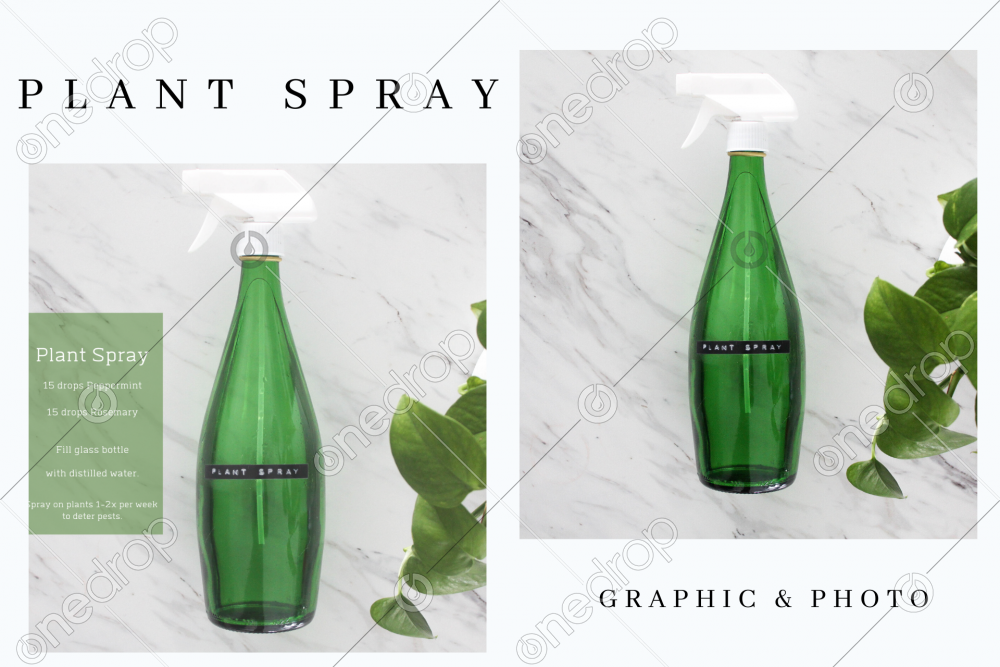 Natural Plant Spray // Simple DIY One Drop