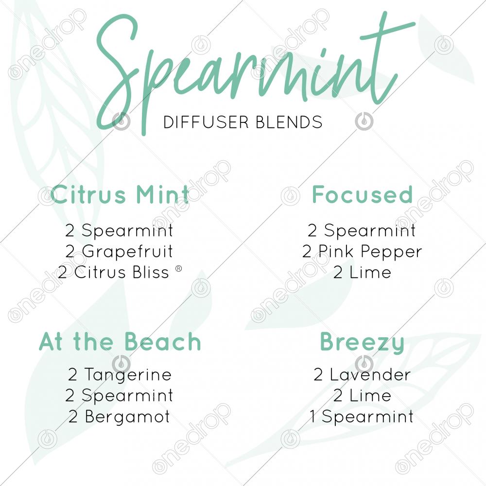 Spearmint Diffuser Blends One Drop