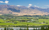 ORB_img_FoodWine_NewZealand_172x105