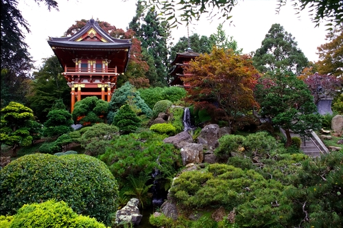 Golden Gate Park tea garden