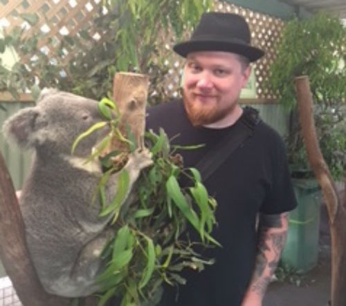 sydney_koala.500