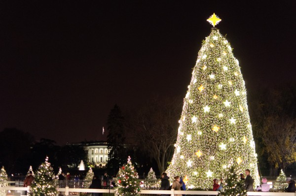 The National Christmas Tree in Washington DC