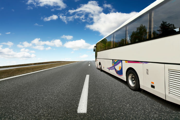 bus tour, travel, trip