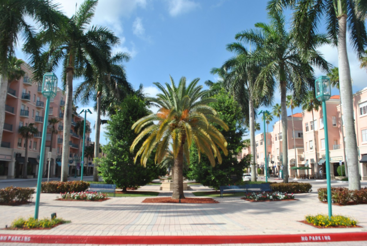 5 Awesome Things To Do In Boca Raton Orbitz