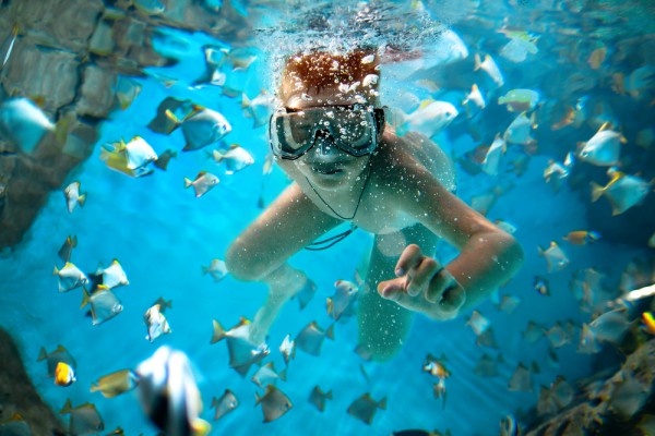 best places to swim with animals