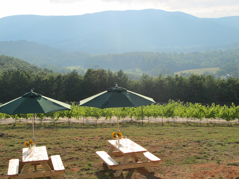Moss Vineyards 