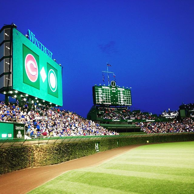 Wrigleyfield