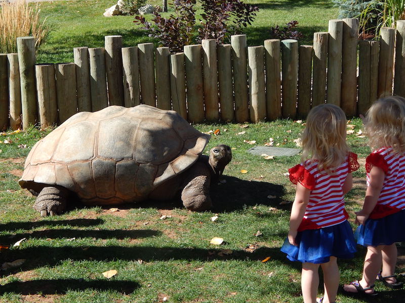 Reptile Gardens
