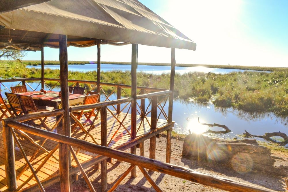 Photo courtesy of Camp Linyanti Botswana 