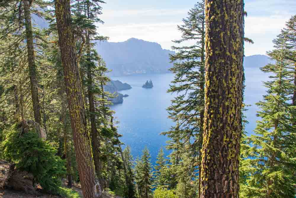 oregon-photo-gettingstamped