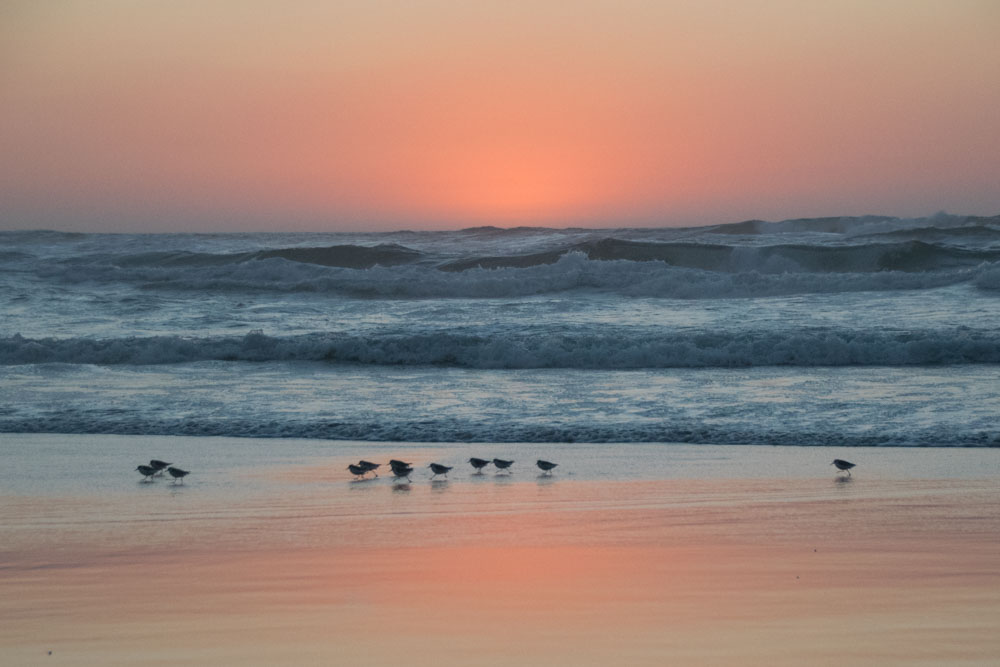 oregon-photo-gettingstamped