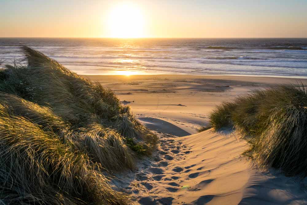 oregon-photo-gettingstamped