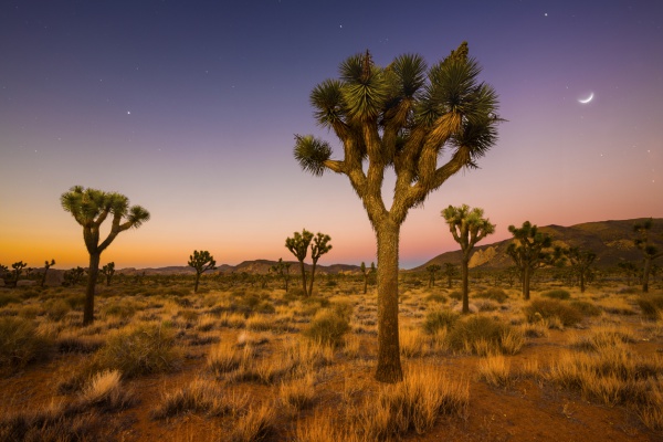 iStock-474763952.jpg