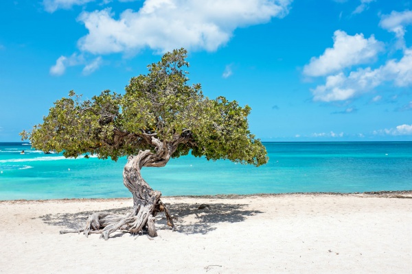 Aruba.jpg