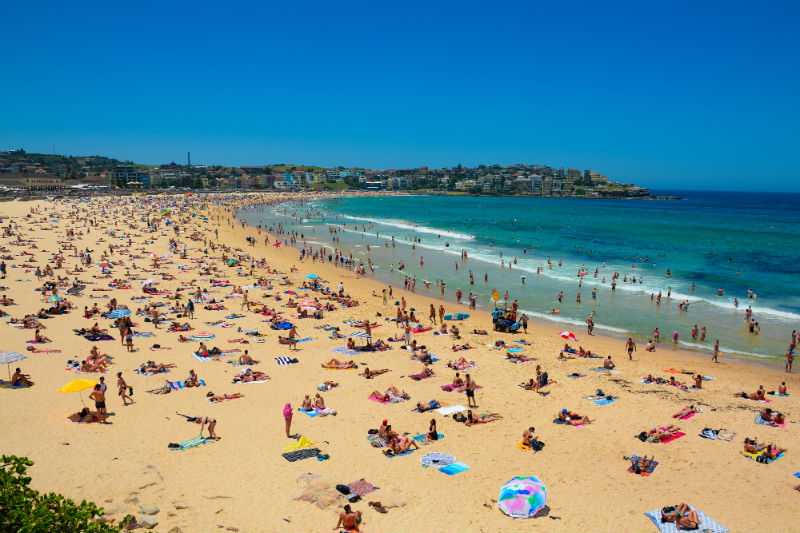 Bondi Beach Naked People - Young Boys Naked At Nude Beach - Porno Gallery