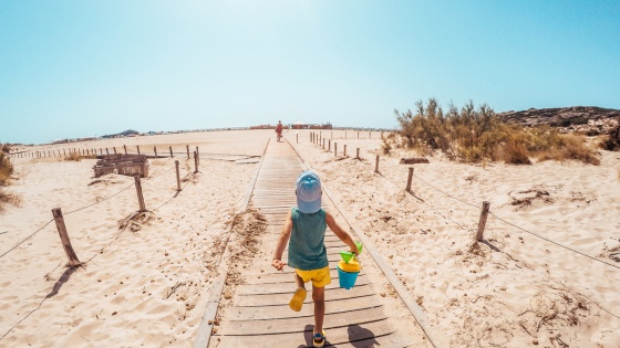 let your kids plan your next vacation