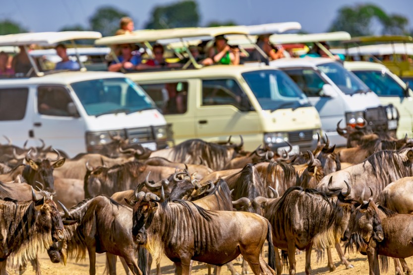 great migration, africa