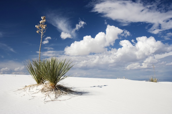 White Sand, New Mexico