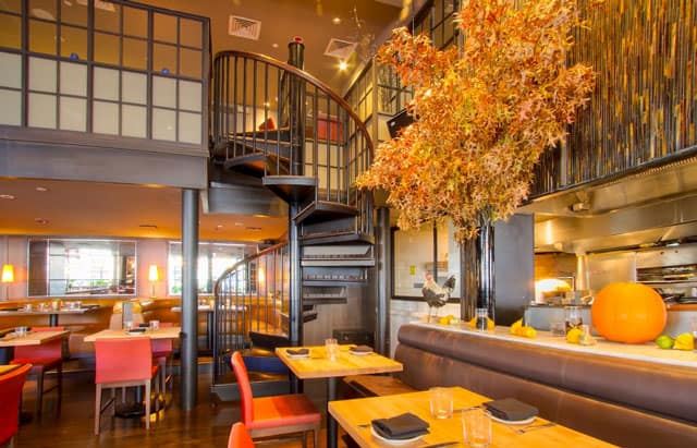 new york commercial dining room steel spiral stair