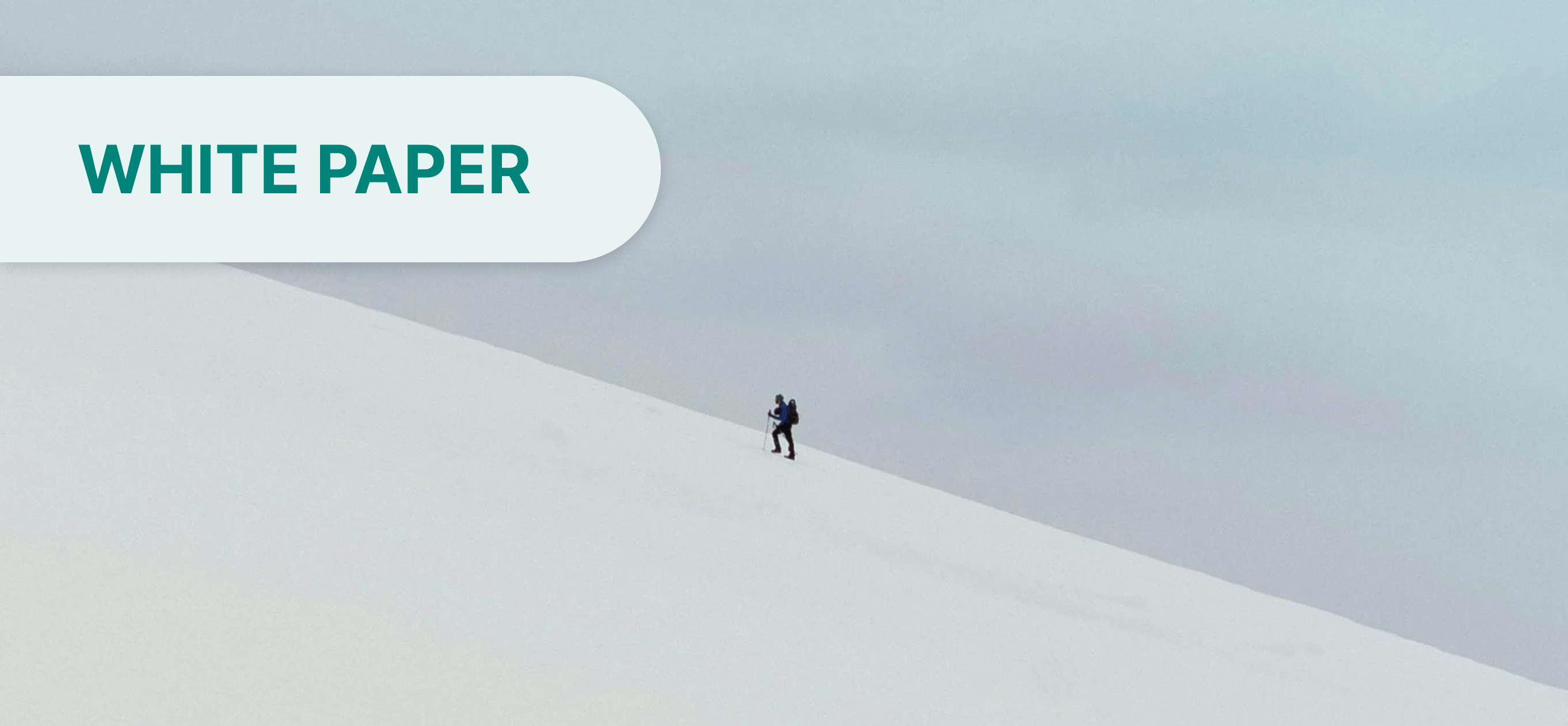 Q4 Health & Wellness Trends in 2025