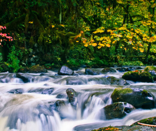 A rushing river and waterfall.