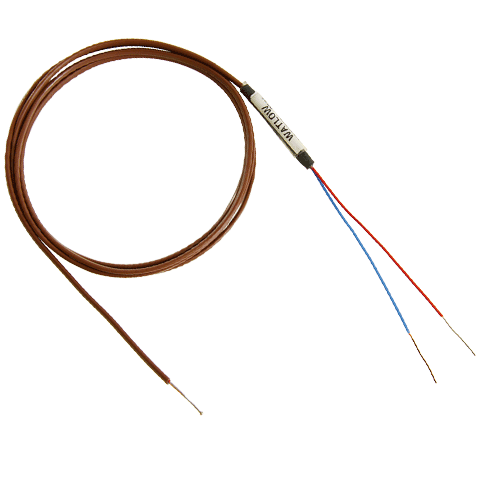 temperature element watlow