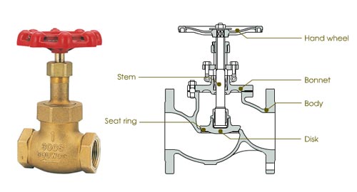 cross-section of globe valve