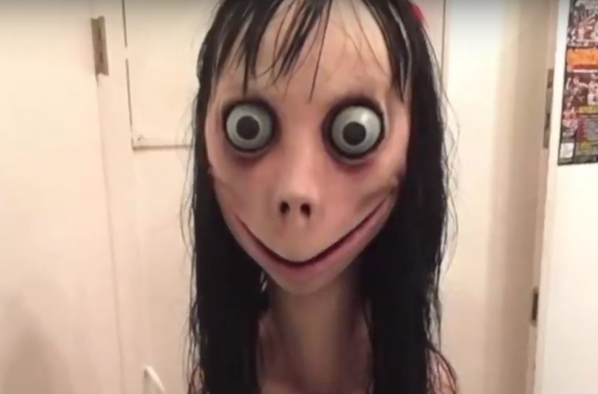 momo_screenshot.jpg