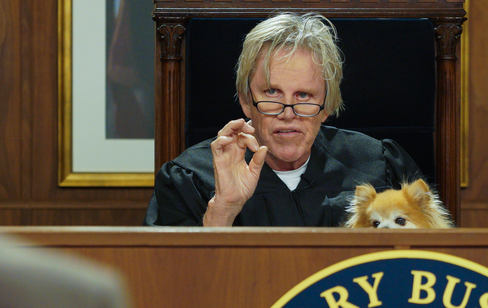 'Gary Busey: Pet Judge' will settle your animal dispute in the court of law