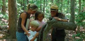 Prince William Forest RV Campground