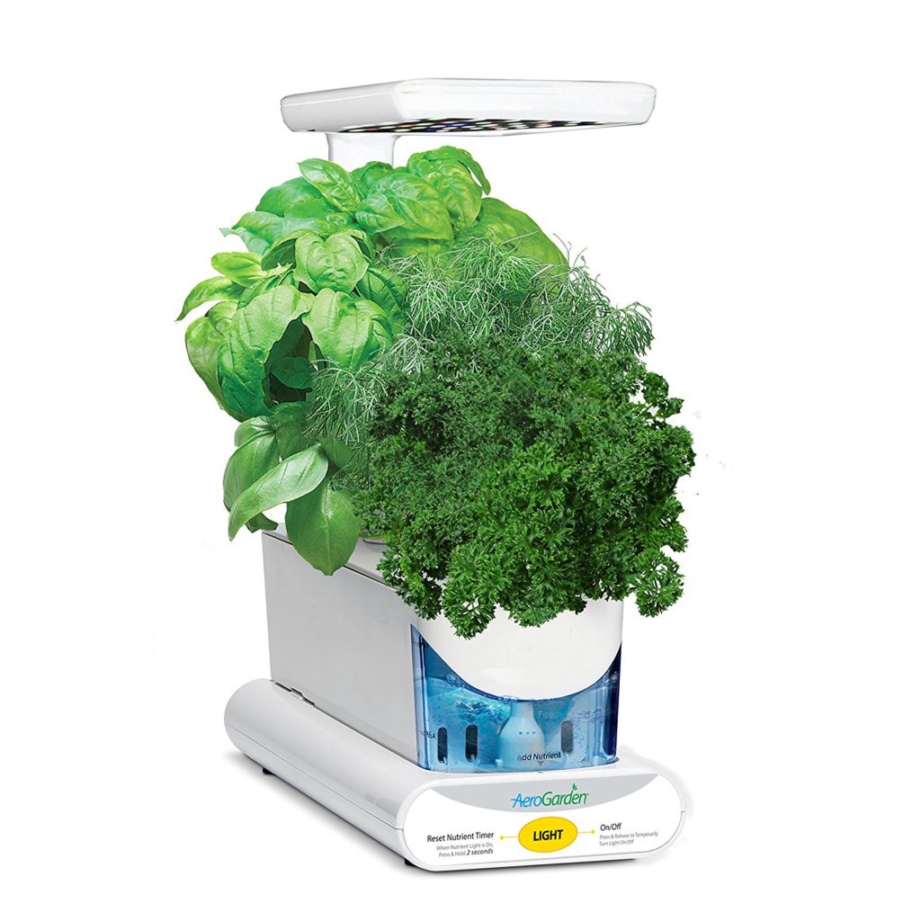 How To Build An Indoor Herb Garden For Your RV RVshare