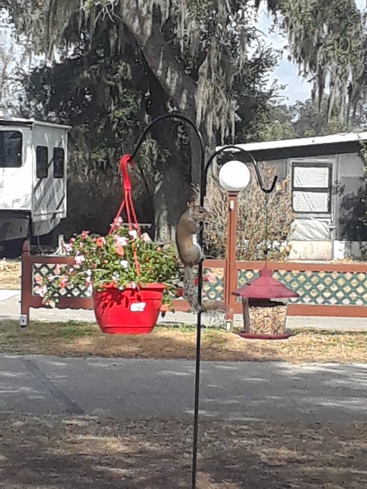 Top 10 Campgrounds & RV Parks Near Ocala,FL