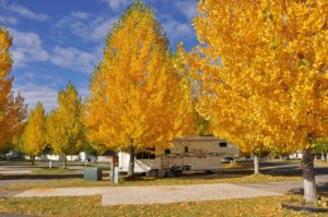 Uncompahgre River RV Park