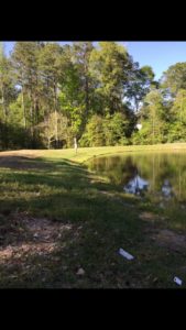 Top 10 Campgrounds & RV Parks in Hattiesburg, Mississippi