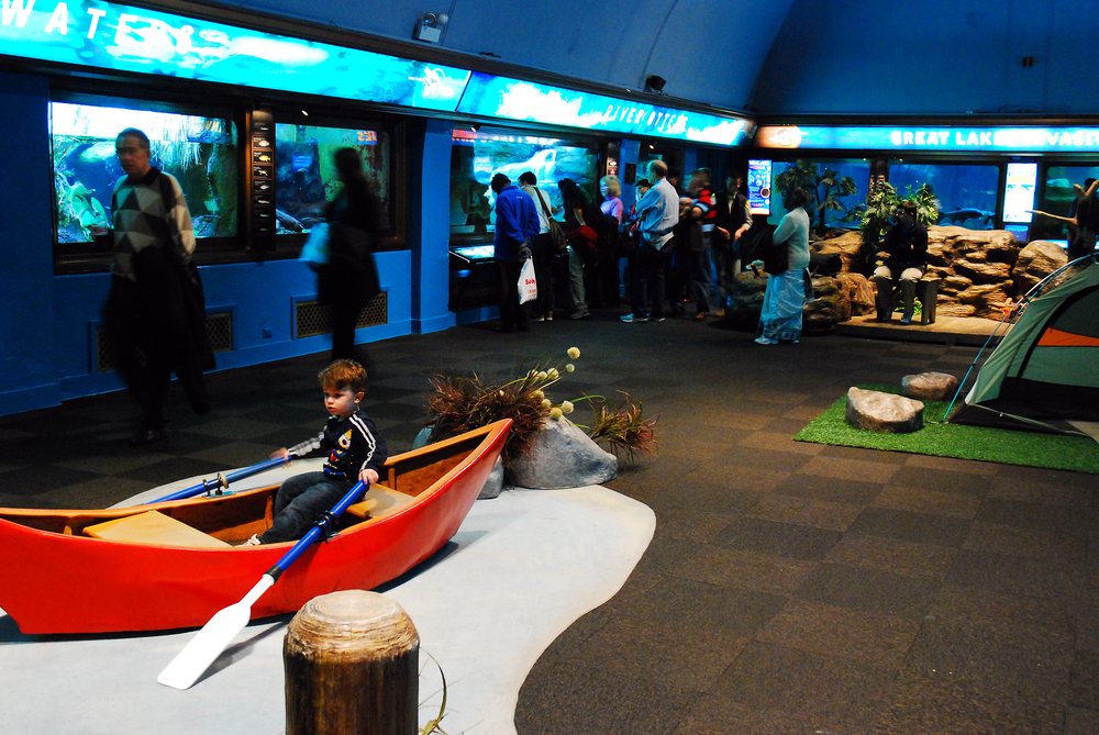 The Best Aquariums Across the Country