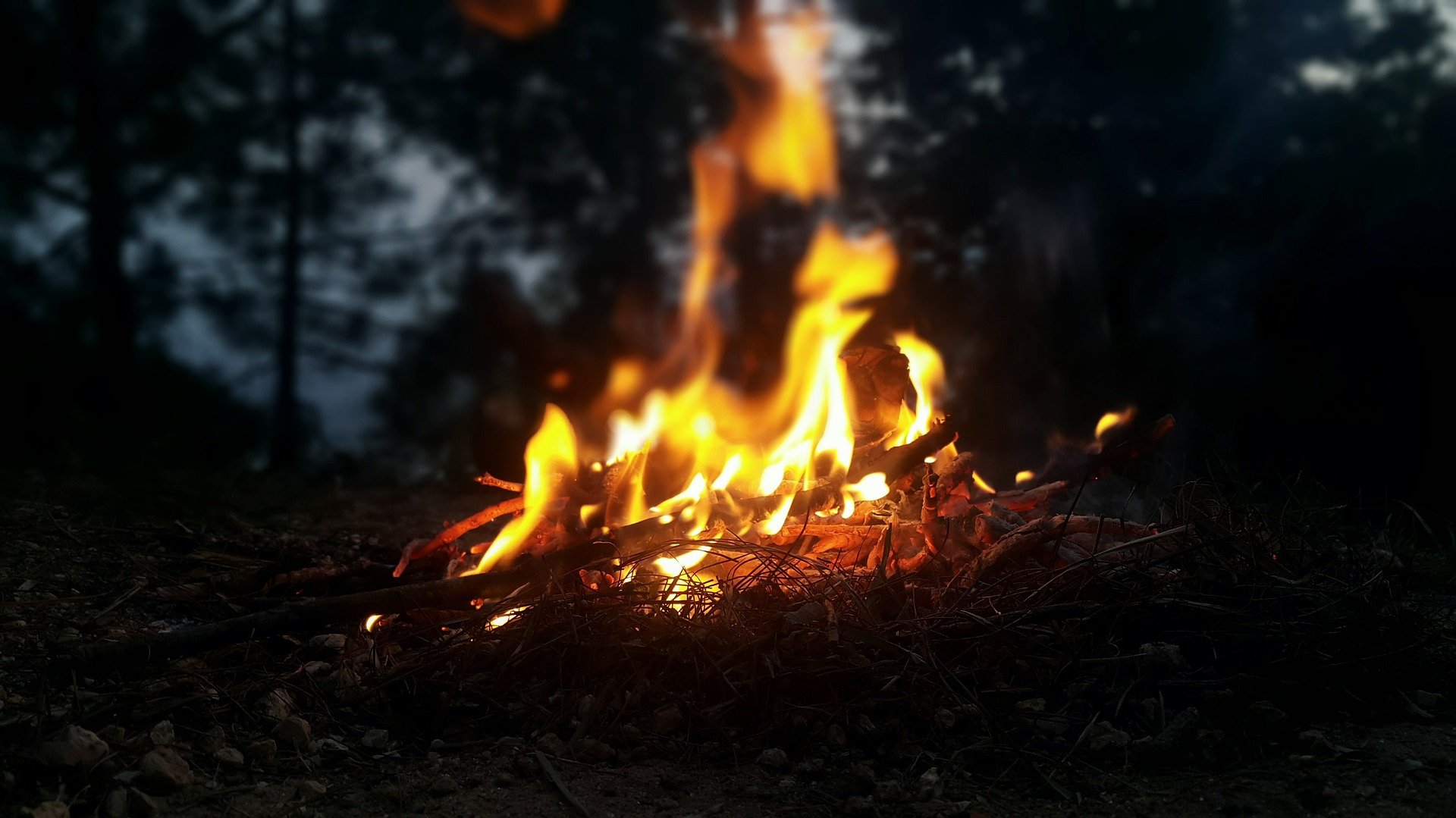 5 Ways to Start a Fire in the Wild