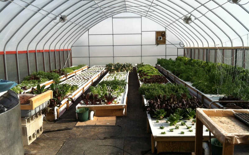 september breakfast forum: aquaponics - cift