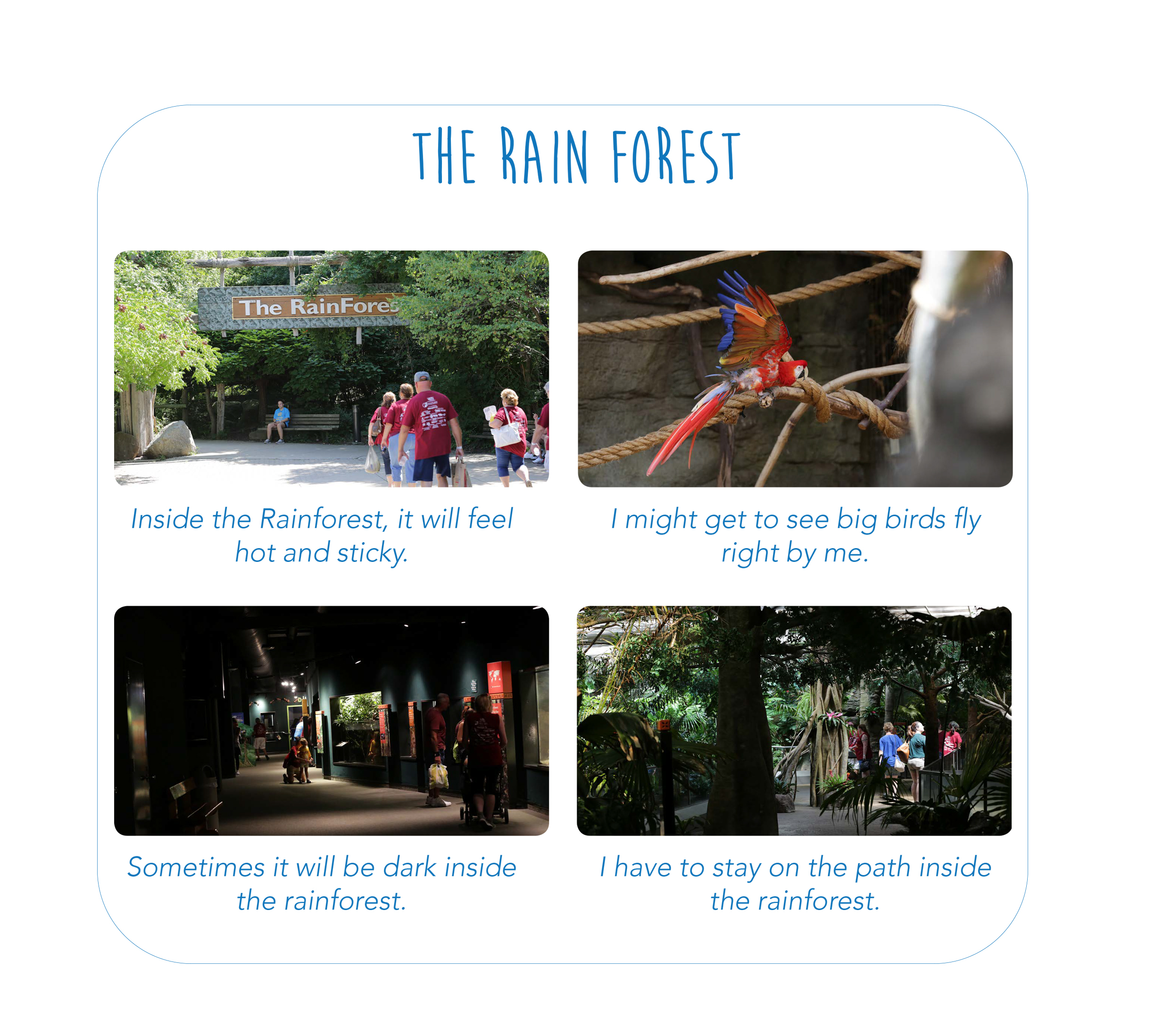 Social Story Examples For Adults