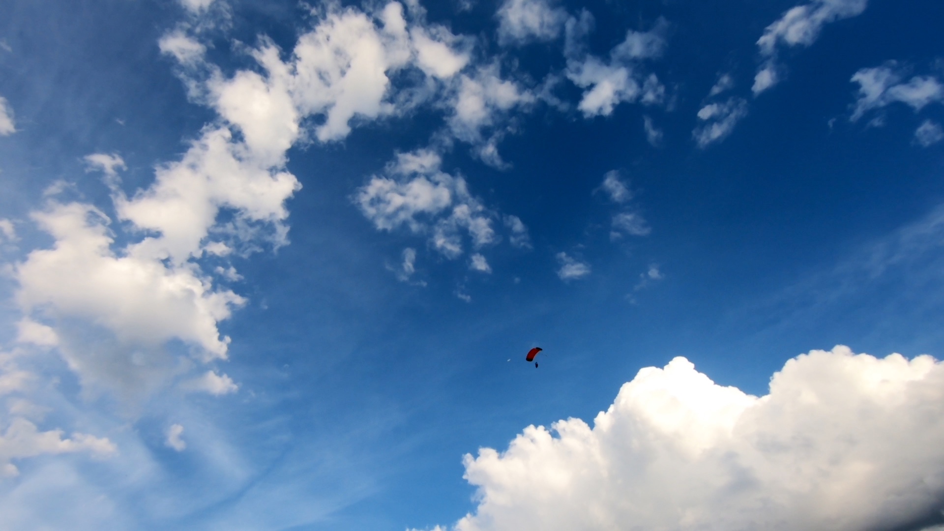 Skydive