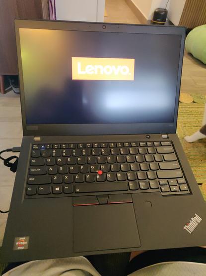 Picture of my new-to-me Lenovo ThinkPad T495 showing the Lenovo logo as it boots up.