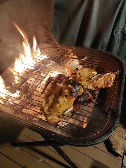 The whole chicken, slightly blackened, split open with the bones down next to the fire from the firewood inside the squircle grill.
