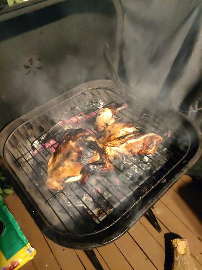 The whole chicken, a little more blackened, split open with the bones down next to the main embers where the fire was, inside the squircle grill.