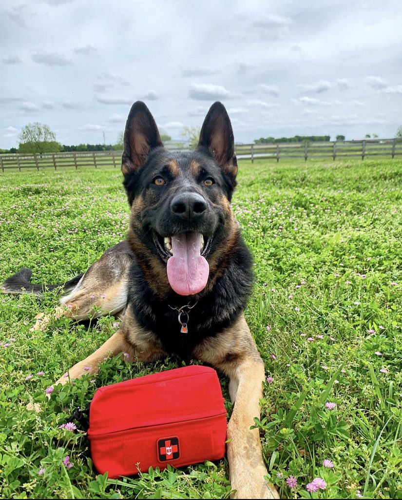 trikos-k9-first-aid-kit dog with trikos first aid kit