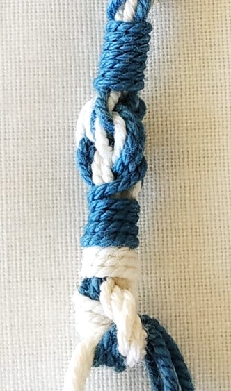 RSchachteriChulya (1)