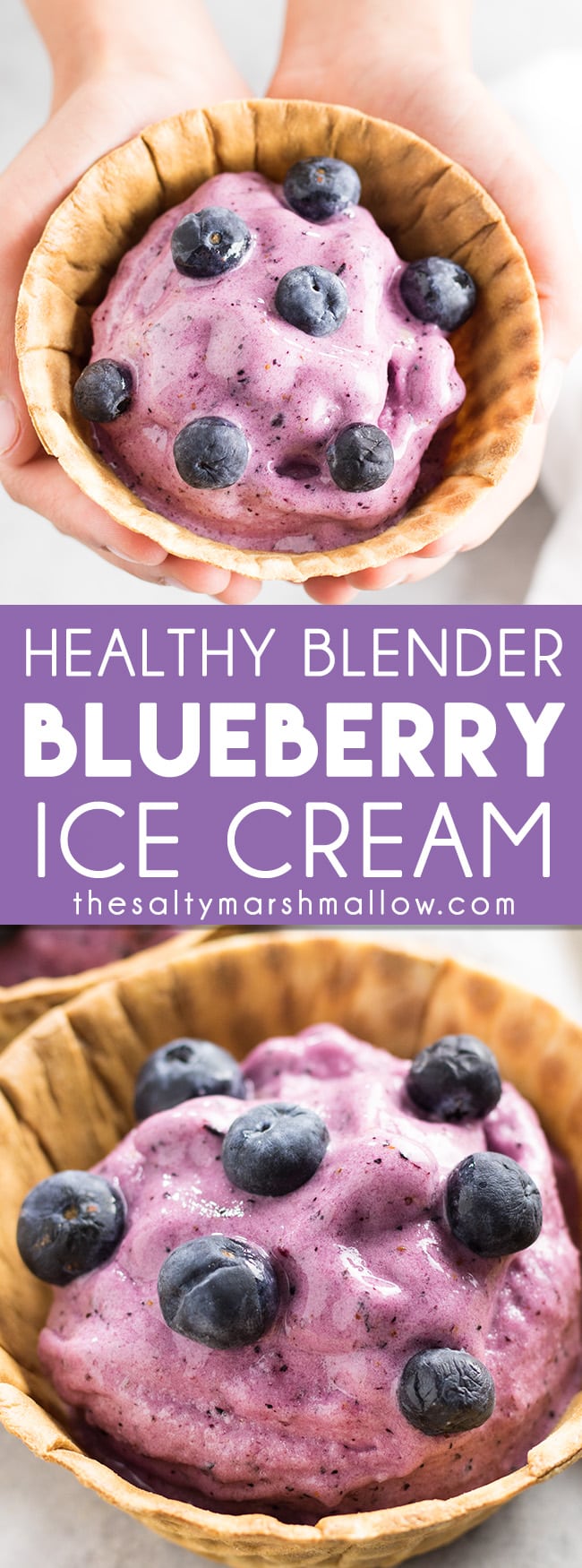 Healthy Blueberry Blender Ice Cream The Salty Marshmallow