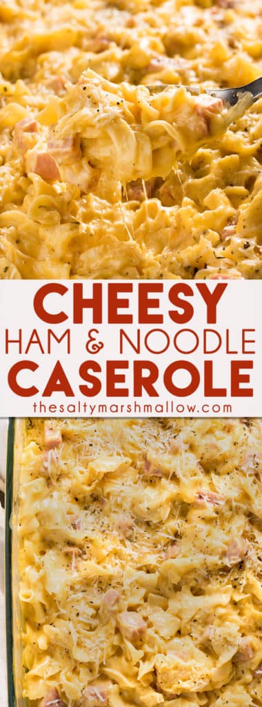 Ham and Noodle Casserole: This cheesy, creamy, ham and noodle casserole is an easy to make, family friendly, main dish recipe! Perfect for a quick, easy, and cheap weeknight dinner!