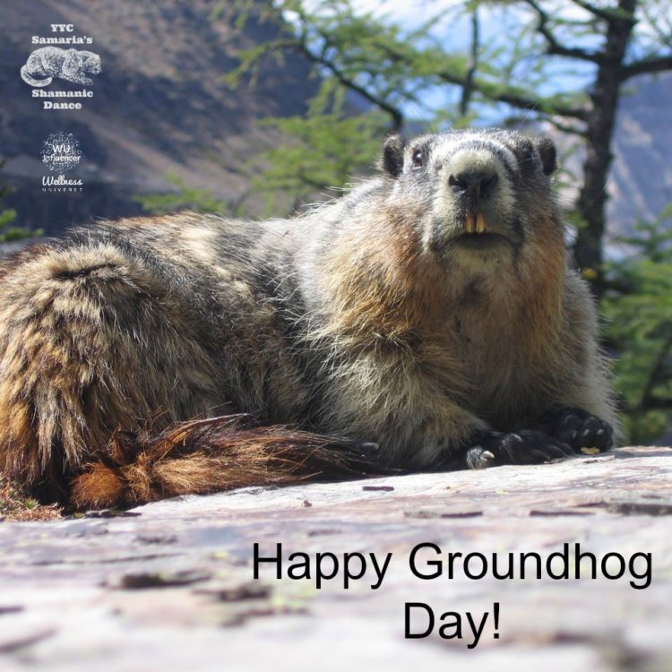 groundhog day world peace activity samaria nancy cardinal the wellness universe groundhog day world peace activity samaria nancy cardinal the wellness universe