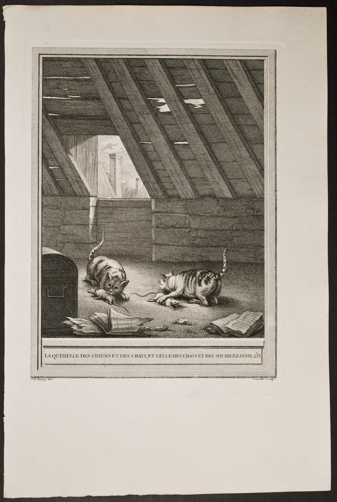 La Querelle Des Chiens Et Ds Chats Et Celle Des Chats Et