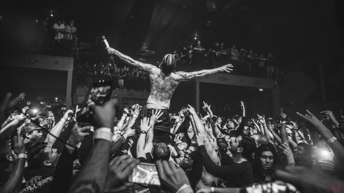 Fever 333